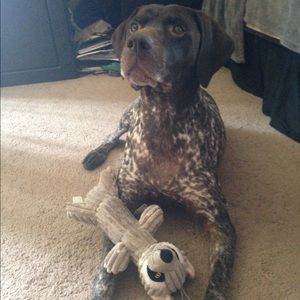 Meet your Posher, Marissa